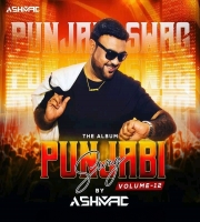 Punjabi Swag Vol. 12 - DJ Ashmac
