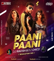 Paani Paani - Badshah Ft. Aastha Gill (Remix) DJ Ravish & DJ Chico