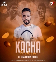 Kacha Badam (Remix) DJ Shad India
