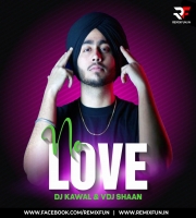 No Love (Remix) - DJ Kawal x VDJ Shaan