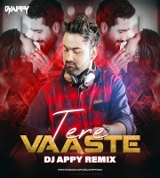 Tere Vaaste (Remix) - DJ Appy